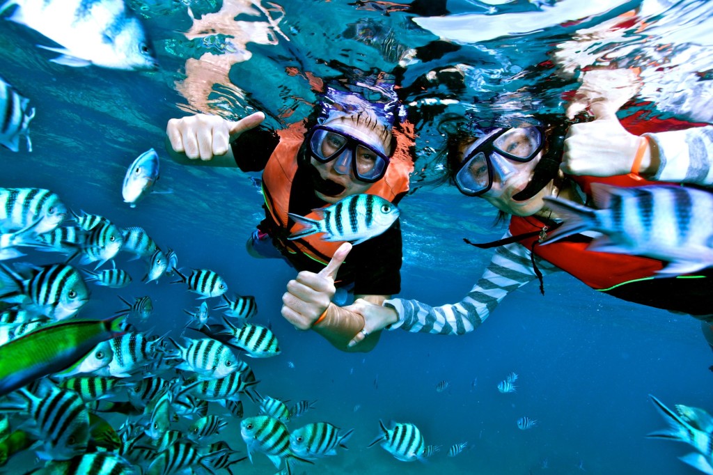 snorkeling questions and answers