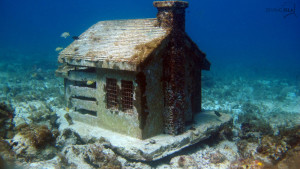 urban reef house MUSA