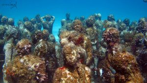 underwater museum