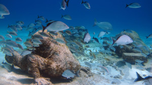 bankers underwater museum