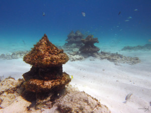 diving bio mapa isla mujeres