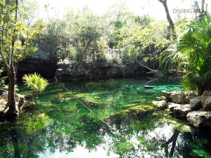 cenote playa del carmen