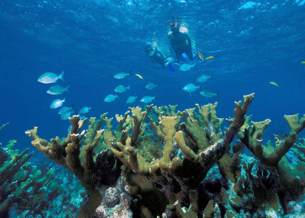 snorkeling isla mujeres mexico