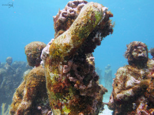 diving silent evolution underwater museum