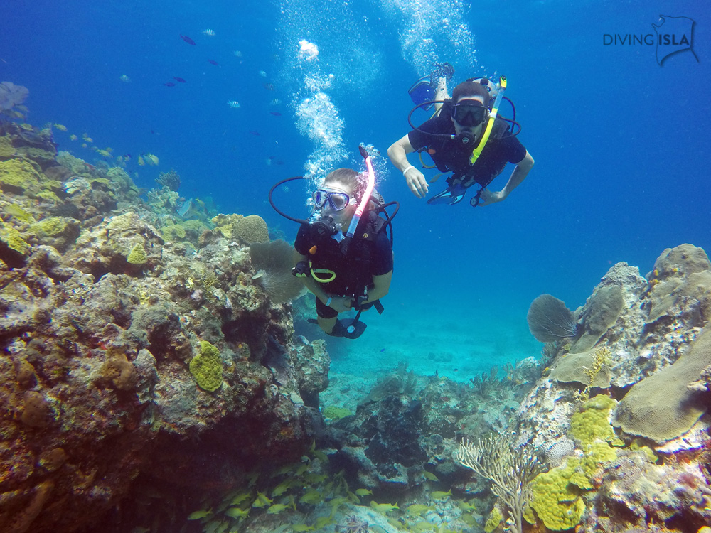 open water divers in isla mujeres mexico